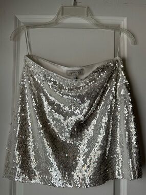 WAYF x Jourdan Sloane Lily Sequin Miniskirt in Silver- size small